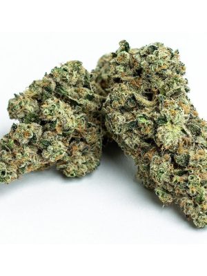 strains-limited-first-class-gas